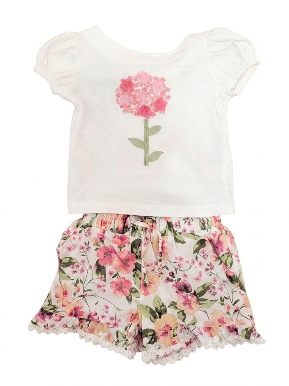 Janie And Jack Baby Girls Floral Shorts Set with Pink Flower Top 6 To 12 Months